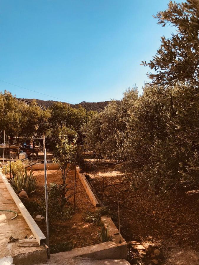 Country House Pachia Ammos Exterior foto